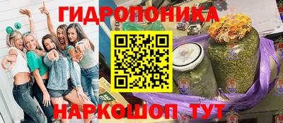 спиды Заводоуковск