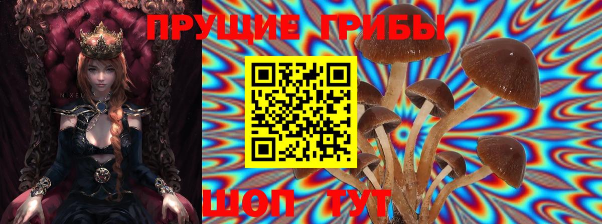 Галлюциногенные грибы Cubensis Киселёвск