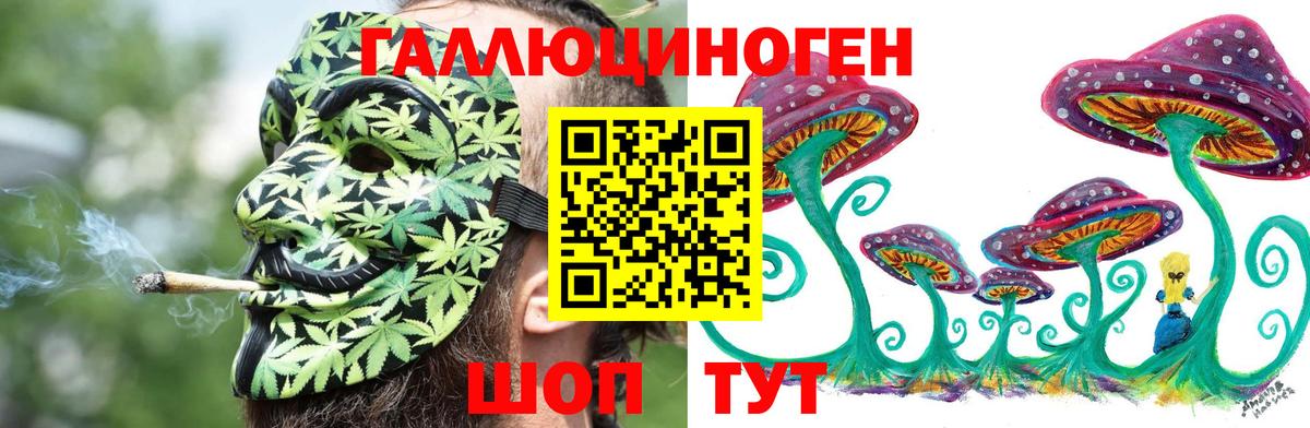 Галлюциногенные грибы ЛСД  Вход с VPN  Псилоцибиновые грибы GOLDEN TEACHER  цены наркотик  Киселёвск 
